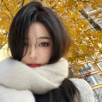 机动战士高达逆A剧场版Ⅰ：地球光