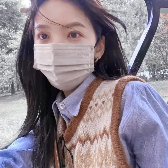 重阳登高摘挂枝